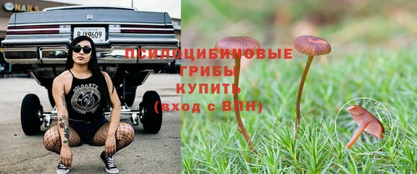 первитин Бородино