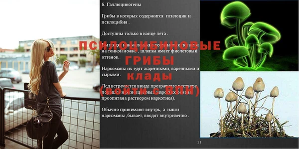 первитин Бородино