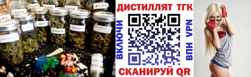 ТГК концентрат  где купить   Кирсанов 