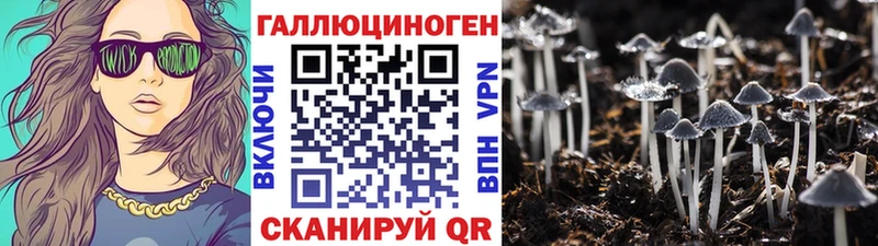 Галлюциногенные грибы Psilocybine cubensis  Кирсанов 